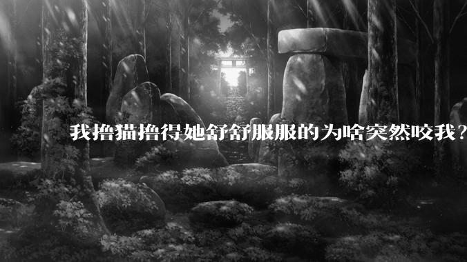 我撸猫撸得她舒舒服服的为啥突然咬我？