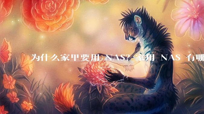 为什么家里要用 NAS？家用 NAS 有哪些实际的、接地气的用途？