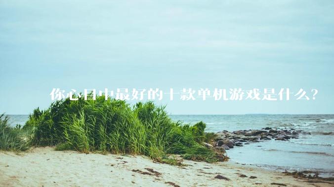 你心目中最好的十款单机游戏是什么？