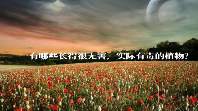 有哪些长得很无害，实际有毒的植物？