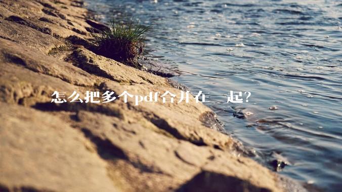 怎么把多个pdf合并在一起？