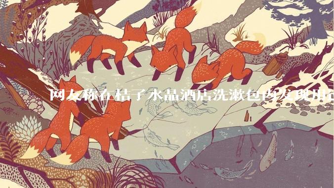 网友称在桔子水晶酒店洗漱包内发现用过的四联检测盒，具体是怎么回事？酒店要承担哪些责任？