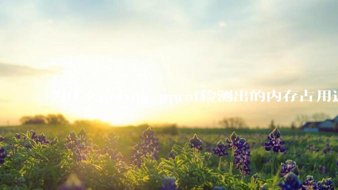 为什么golang pprof检测出的内存占用远小于top命令查看到的内存占用量？