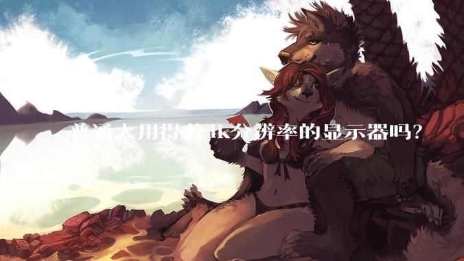 普通人用得着4k分辨率的显示器吗？